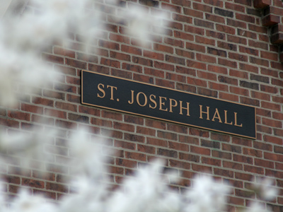 How meager is the fantasy of the fairy compared to the reality of the bee. PHOTOGRAPHING FAIRIES by Steve Szilagyi