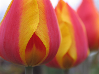 High gas prices got you down?