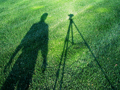 There`s the television.  It`s all right there.  Look, listen, kneel, pray! JEFFREY GOINES in `Twelve Monkeys`