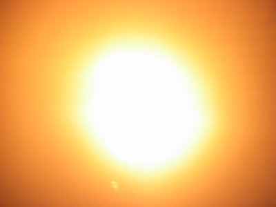 This brick will exist longer than this flower, but flowers will exist longer than bricks.