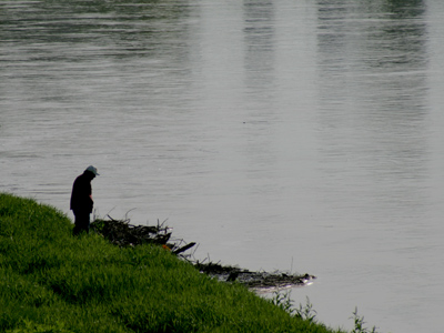 Waiting for a message in a bottle.