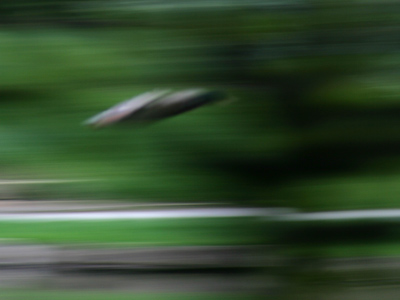 Not as successful as yesterday`s flying duck photo.