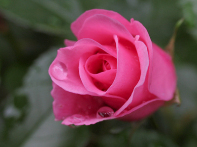 The only thing I like about rain is when it stops.