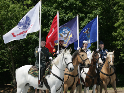Horses of the armed forces.