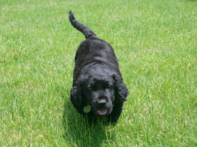 Only a few weeks old, and everything`s all right so far.