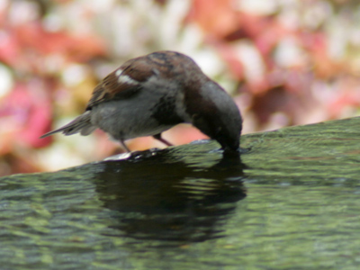 Nature is hereby satiated.