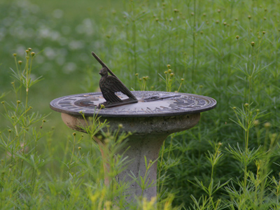 It`s a bit warmer now than February 11, 2007.