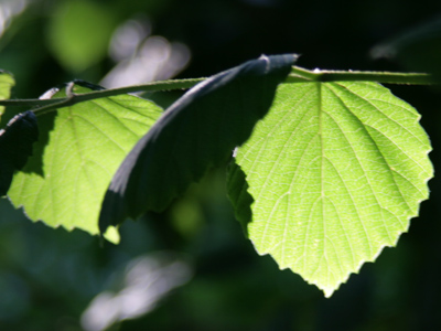 I`m sure you`ve noticed that some are just brighter than others.