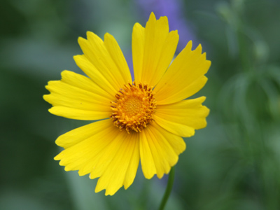 I`m not the only one grateful for the rain.