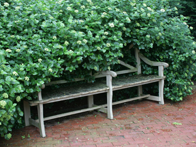 Why doesn`t anyone sit here (see November 9, 2005)?