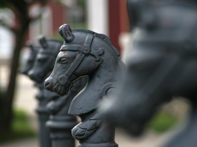 All the king`s horses.