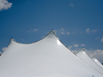 Running away to join the circus is still a career option.