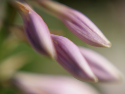 Yes, it`s supposed to be blurry, but getting the blur to look the way I want will take some practice.