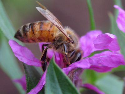 `Anybody down there?`