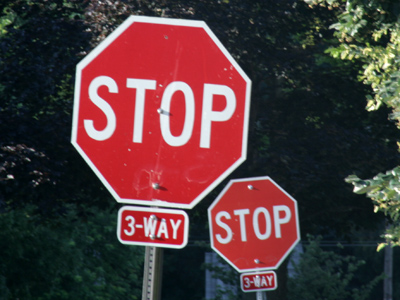 `I see everything twice!` Yossarian shouted.  JOSEPH HELLER