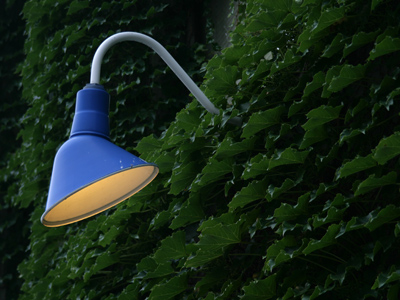 Another interpretation of May 18, 2005.