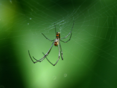 What I noticed as I was photographing something else.