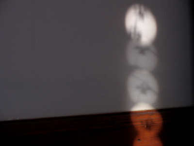 Today I lost my motivation for taking five pictures a day, but found it again near the baseboard of my apartment.