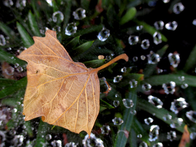 Smaller than what you might think.