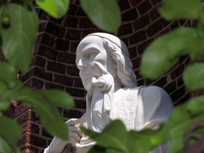 While taking this picture, I heard an incessant chirping . . . 