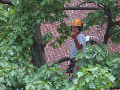 I need a t-shirt that says `IGNORE THE CAMERA!`