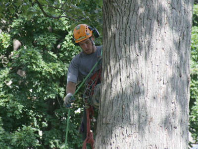 Unlike July 22, this time he didn`t see me.