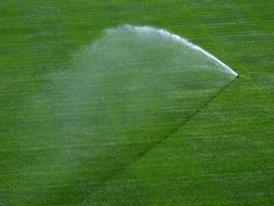 Eight days until the first exhibition game of the season.