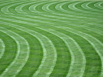 S is for soccer.  The first exhibition game is in three days.