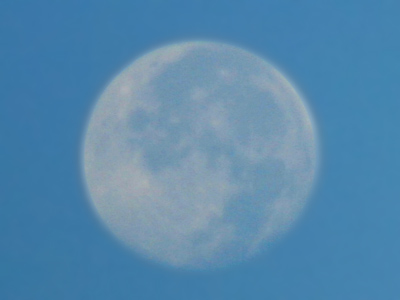 By the pale moonlight.