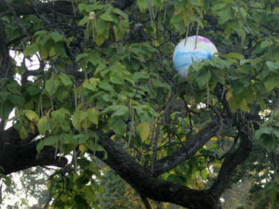 Where university students play.