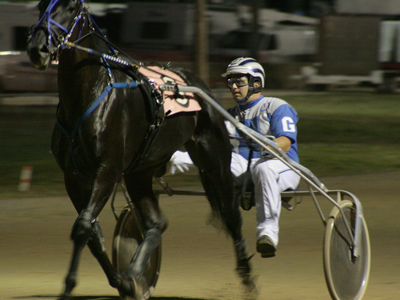 The horse that came in first place.