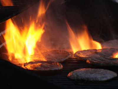 The horse that came in last place.