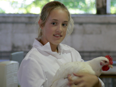 An auction is a transitional point at which some child`s pet becomes someone else`s dinner.