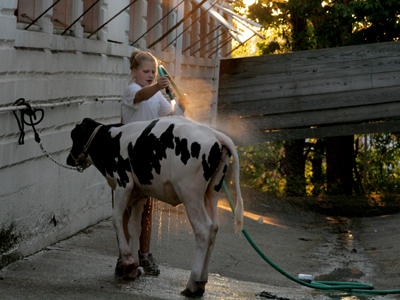 Bathtime for Bessie.