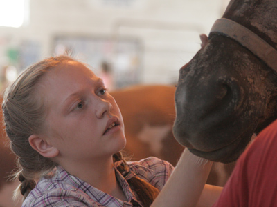Every year at the horse grooming contest, my camera gets covered in dirt.