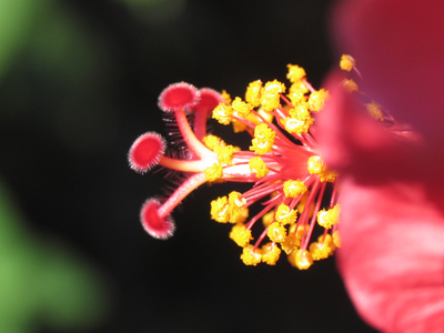 Be glad every day isn`t Labor Day, or else this is the type of thing you would see all the time.