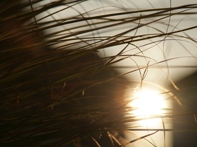 Still the morning sun.