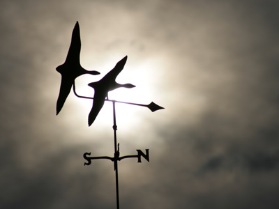 Never shoot into the sun - afternoon.