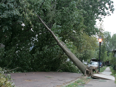 I`m going to make Ike pay for all this if it`s the last thing I do.  If only I knew his last name.