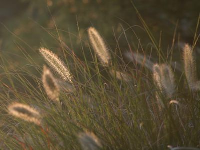Even when I drive to work, there`s still a chance I might find a photo on the way in from the parking lot.