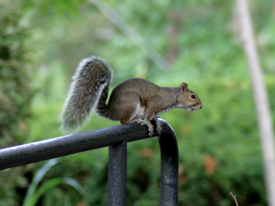 There was no advantage of climbing up here except maybe for amusement.
