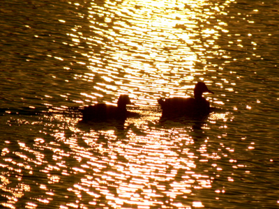 Vaguely reminiscent of July 29, 2008.