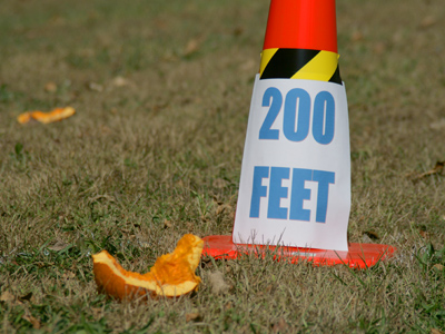How far can you catapult a pumpkin?