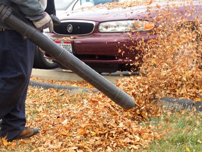The guy was smiling at the camera when I took this.  I didn`t have the heart to tell him his face wasn`t in the shot.