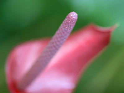 So I`m in Columbus for a two-day photography workshop, which is basically a two-day infomercial about new lenses.