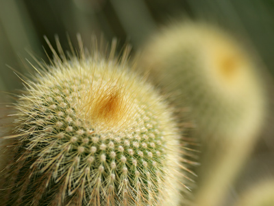 Well, I`m not that easily persuaded.  I mean, they`d at least have to provide cookies before I purchase a new lens.