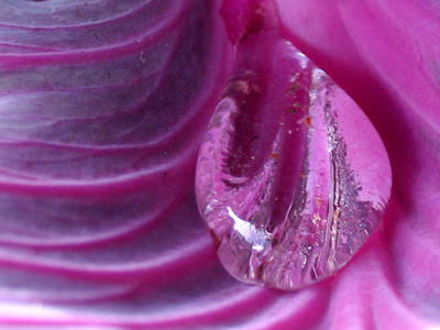 There`s something about this dewdrop photo that makes it different from all the dewdrop photos I`ve taken before.