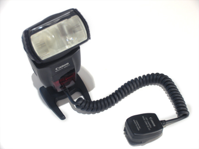 This new flash unit is what makes today`s photos different.  It`s probably best if we don`t discuss how much it cost.