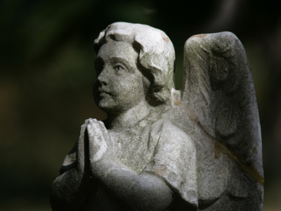 Some people repeatedly take photos of the same thing.