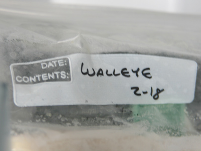 Time to clean out the refrigerator in the staff lounge.